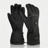Westlyn Heated Gloves